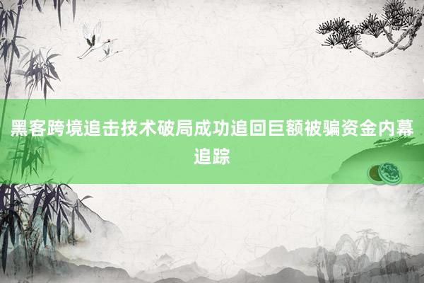 黑客跨境追击技术破局成功追回巨额被骗资金内幕追踪