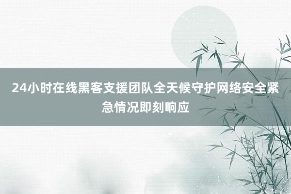 24小时在线黑客支援团队全天候守护网络安全紧急情况即刻响应